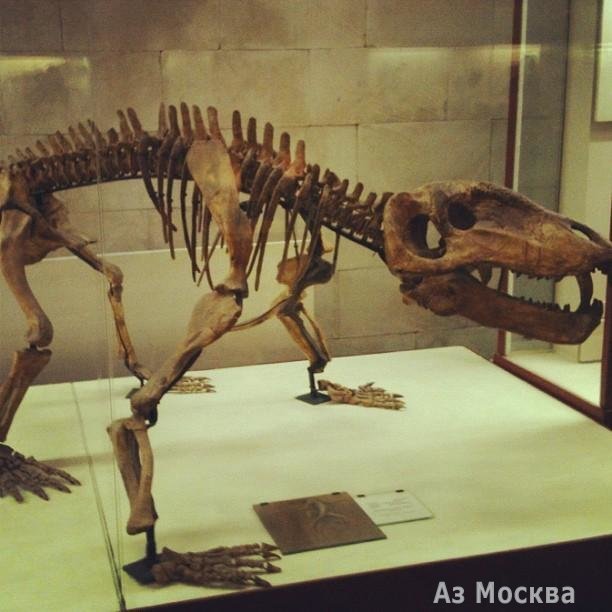 Палеонтологический музей им. Ю.А. Орлова, Профсоюзная улица, 123