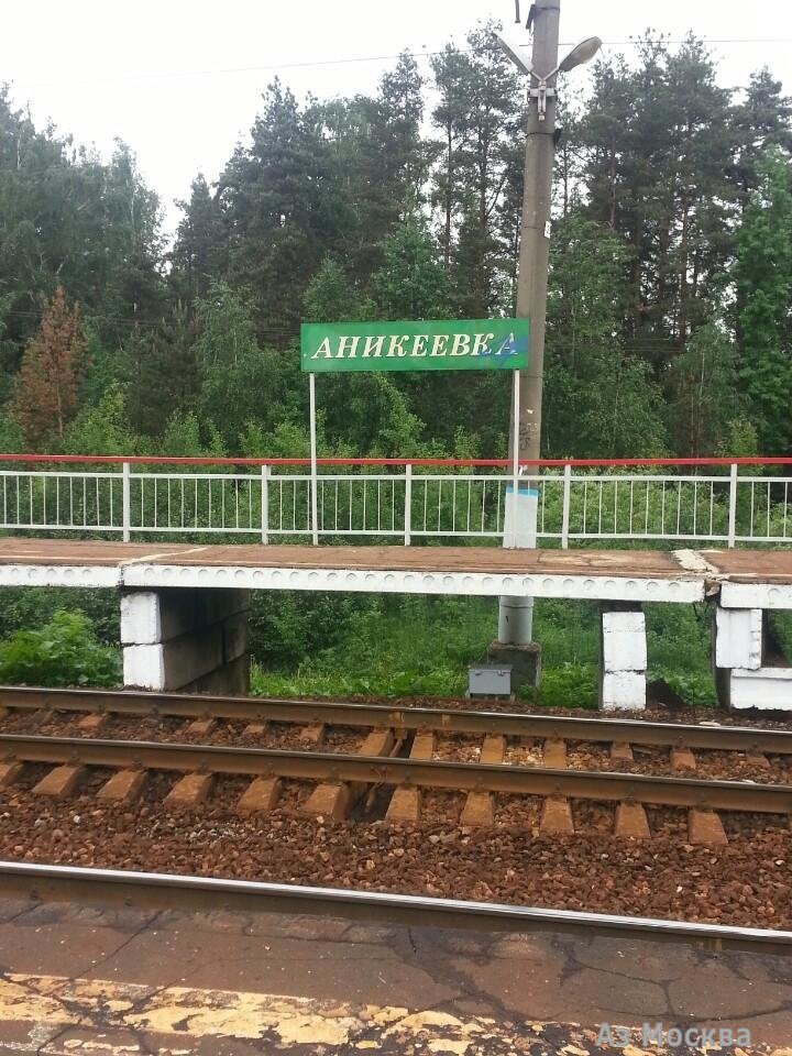 Аникеевка, железнодорожная станция, Аникеевская, вл1