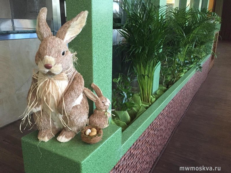 Шоколадный кролик, кафе, Удальцова, 42 (1 этаж)