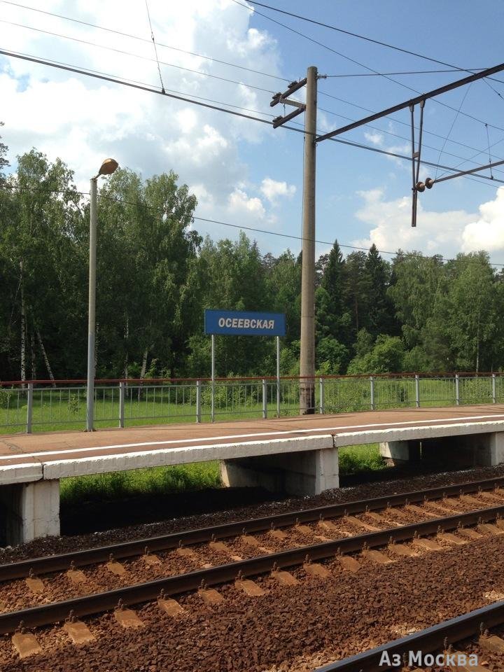 Осеевская, железнодорожная станция, Соколово д, 119а