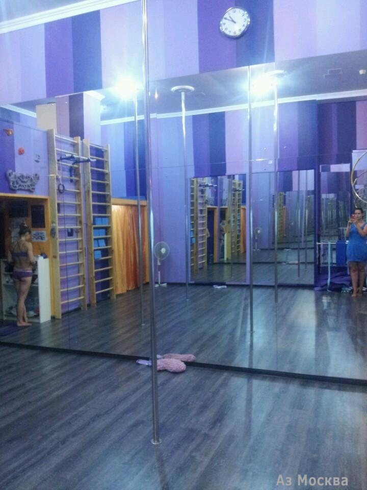 Phioletovo, студия акробатики и танца, Новочерёмушкинская улица, 60 к2, 1 этаж