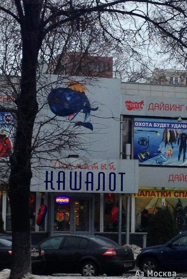 Лохматый Кашалот, магазин товаров для туризма, спорта и отдыха, Ленинский проспект, 50а