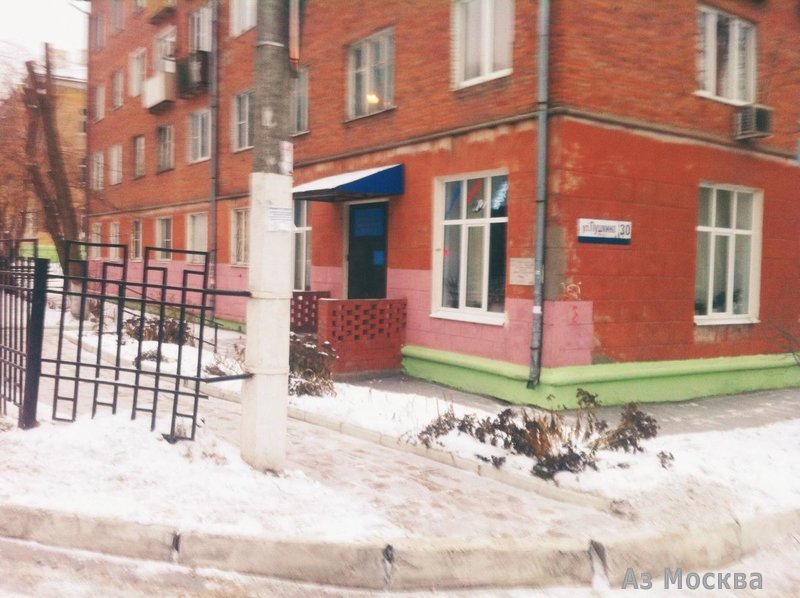 Щелковская детская библиотека, улица Пушкина, 24, 1 этаж
