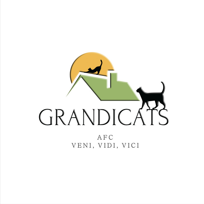 Grandicats, клуб любителей кошек, Большая Почтовая улица, 36 ст10, А209 комната, 2 этаж