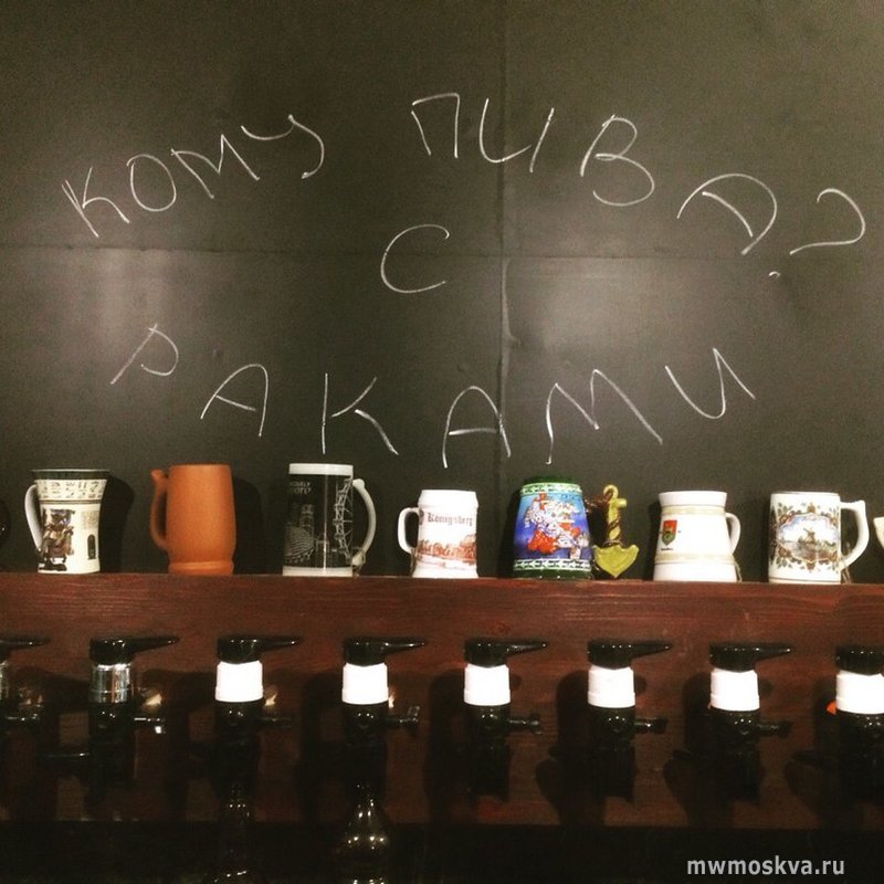 Лиса и гусь, пивной бар, Ленинский проспект, 15, 1 этаж