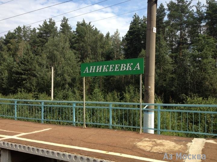 Аникеевка, железнодорожная станция, Аникеевская, вл1
