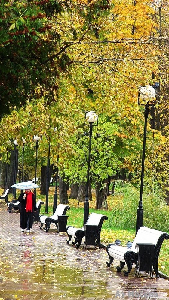 Екатерининский, парк культуры и отдыха