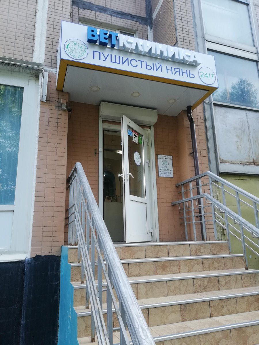 Пушистый нянь, ветеринарная клиника, улица Палехская, 21, 1 этаж