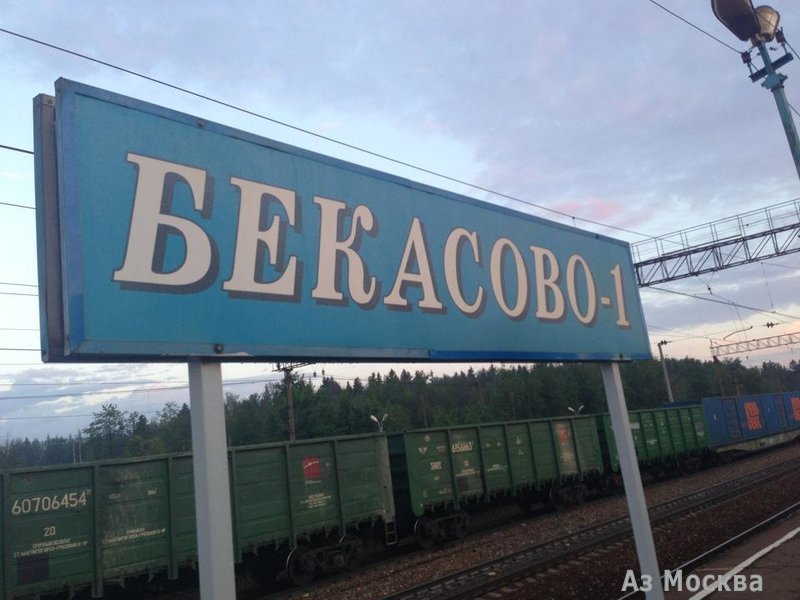 Бекасово-1, железнодорожная станция, Бекасово д, вл1