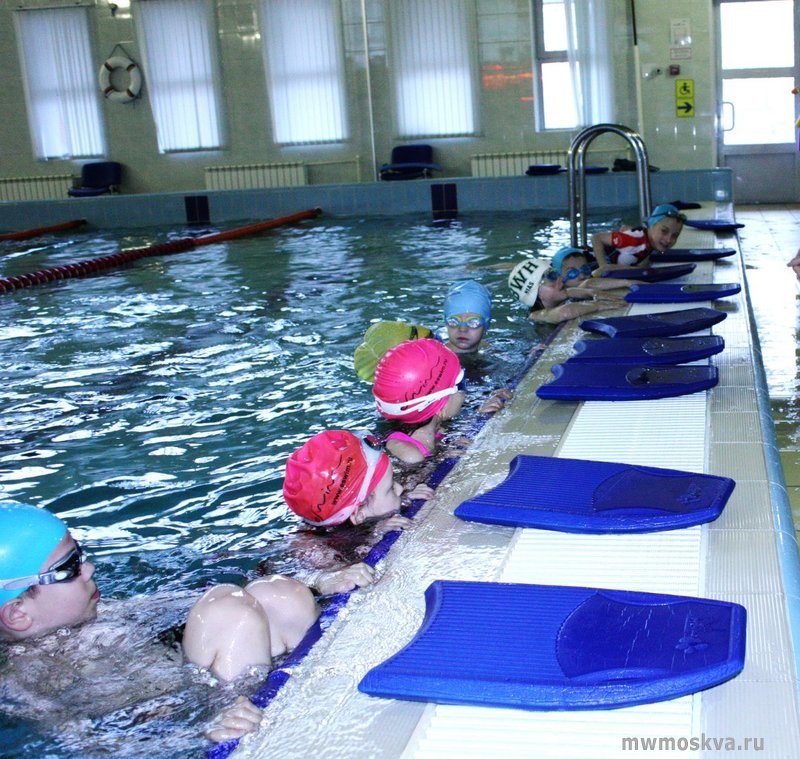 Moscow Swim School, школа плавания, Композиторская улица, 17, 1 этаж