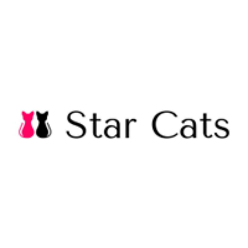 Star Cats, интернет-магазин ярких красок для волос, Верхняя Радищевская, 5 (1 этаж)