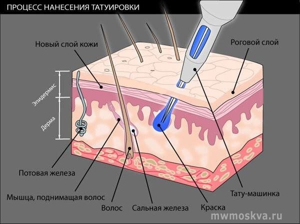 Angel, салон красоты, Дубровская 1-я, 2 (цокольный этаж)