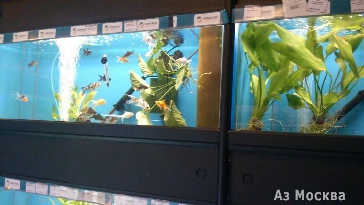Живая вода аквариум