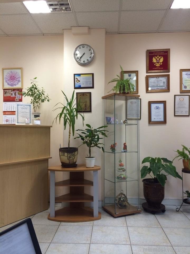 Дельфин Clinic, клиника по лечению позвоночника и суставов, Братиславская, 18 (2 этаж)