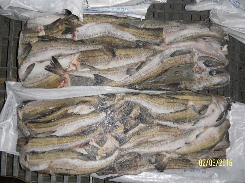 ТД Кайрос, оптовая компания по продаже овощей и свежемороженой рыбы, Промышленная, 11а