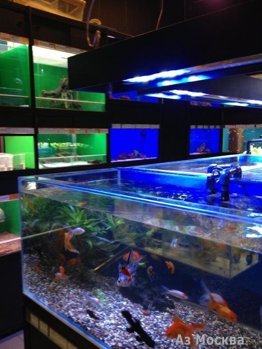 Живая вода аквариум