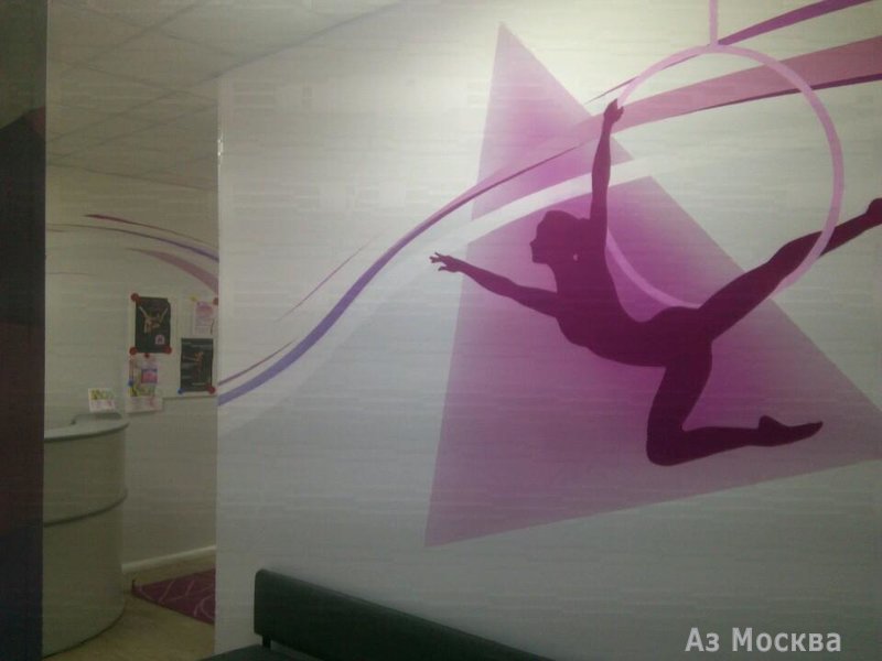 Спортивно-хореографическая школа воздушной акробатики Елены Марсо, Складочная улица, 1 ст7, 3 этаж