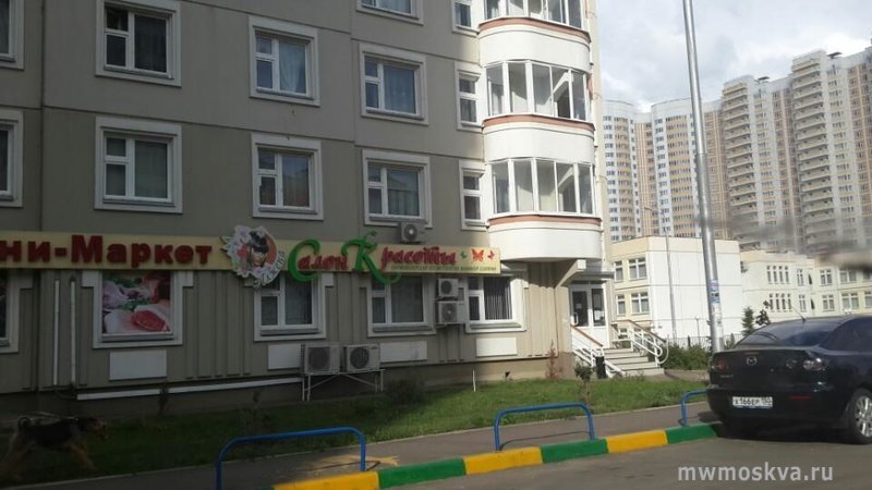 Алжена, студия красоты, Комсомольский проспект, 22 (1 этаж)
