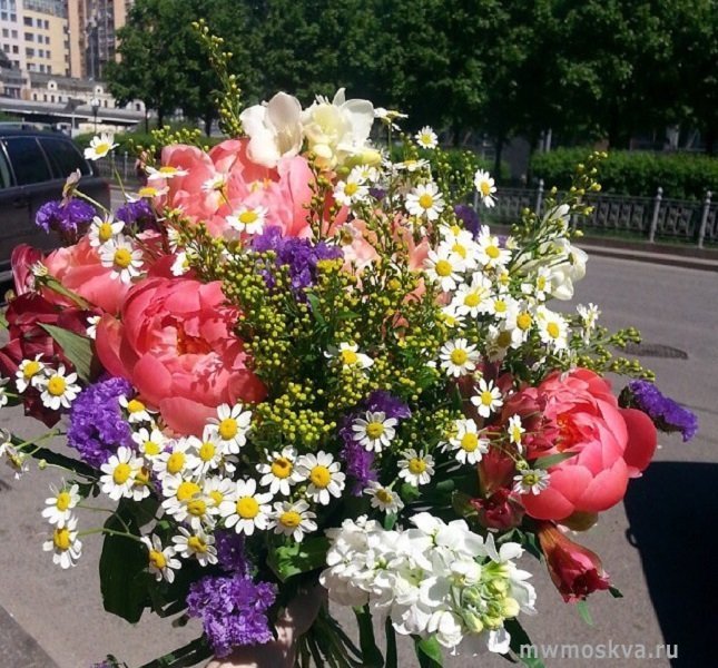 Миллион цветов, флористический салон, Ленинградское шоссе, 13 к1, 1 этаж