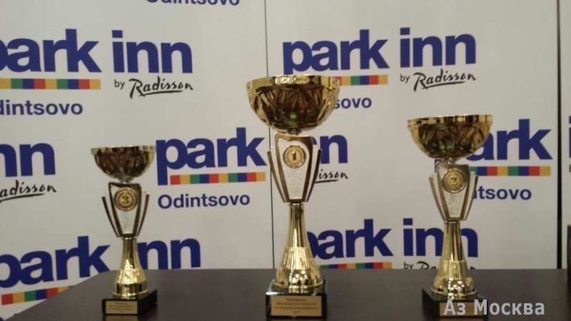 Park Inn by Radisson Moscow Odintsovo, гостиница, улица Маршала Неделина, 8, 1-9 этаж