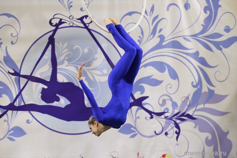 Полерина, студия танцев и воздушной гимнастики, Зеленоград, к1514, цокольный этаж