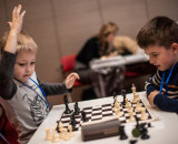 Educhess, шахматная школа
