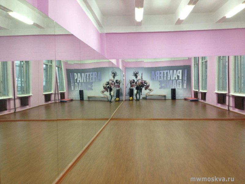 V-pantera, танцевальная школа, улица Школьная, 9, 1 этаж