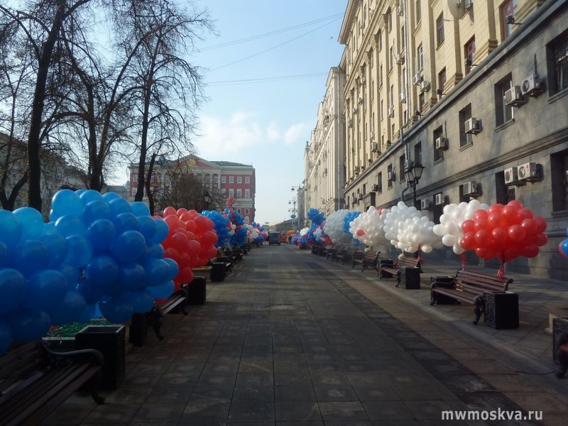Аэродисплей, компания по продаже воздушных и гелиевых шаров, Балтийская улица, 13, 2 этаж