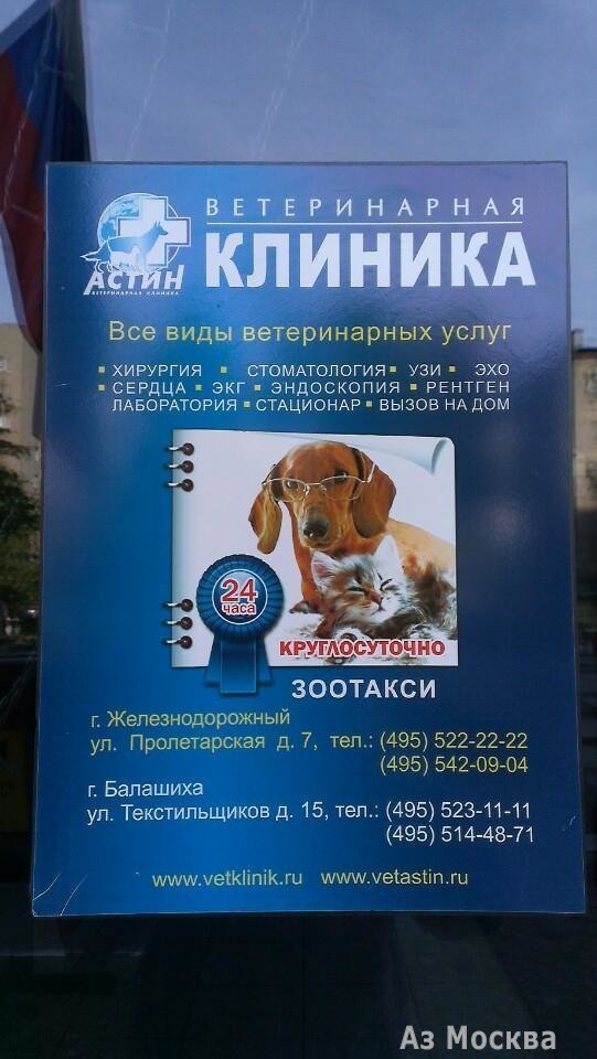 Астин, сеть ветеринарных клиник, Пролетарская, 7 (1 этаж)