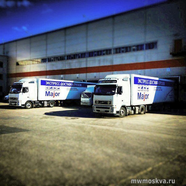 Major cargo service, транспортный холдинг, Шереметьевское шоссе, вл6к, 303 офис, 3 этаж