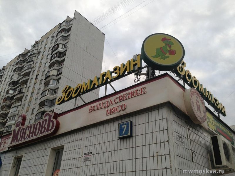 Динозаврик, зоомагазин, Воронежская улица, 7, 1 этаж