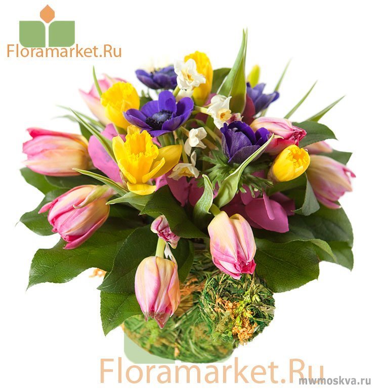 Floramarket, галерея цветов, Костомаровский переулок, 3 ст1а (322 офис; 3 этаж)