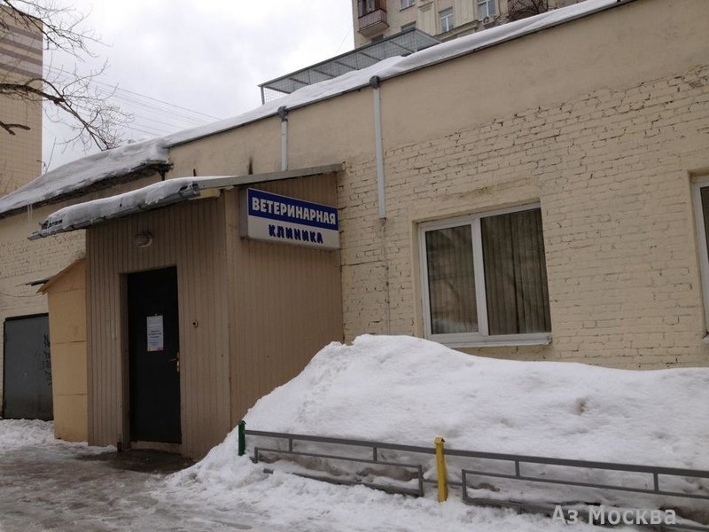 Соколиная гора, ветеринарная клиника, улица Щербаковская, 50 ст1, 1 этаж